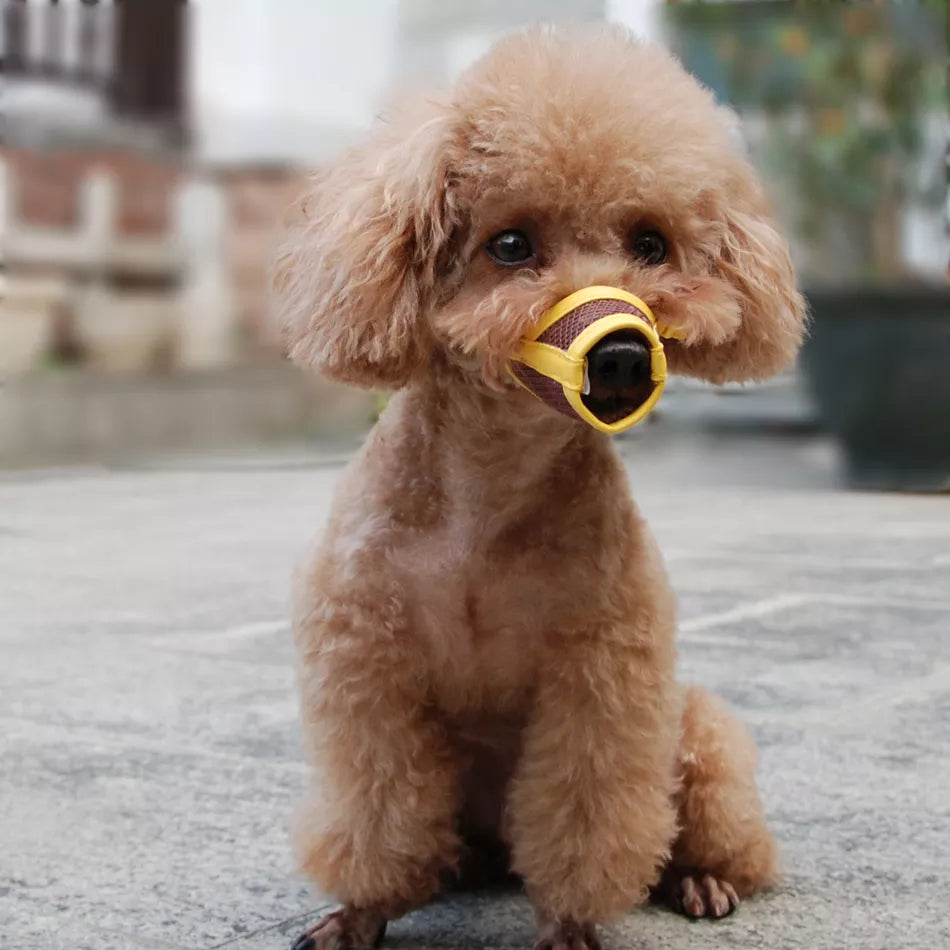 Focinho de nylon para cachorro, focinho de malha de nylon para cães pequeno, médio e grande