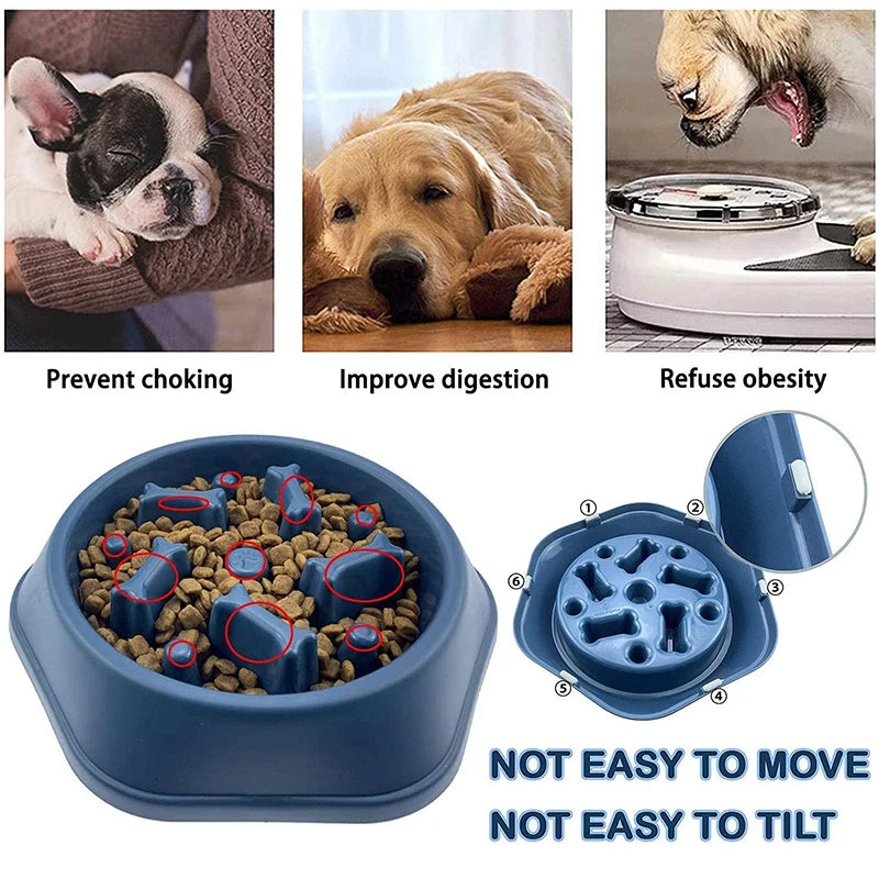 Slow Food Bowl para cães pequenos, à prova de entupimento, tigelas de alimentação para animais de estimação Slow Eating, cachorro e gatos antiderrapantes, placa PP para alimentos