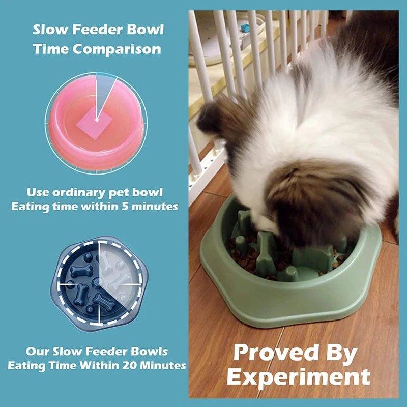 Slow Food Bowl para cães pequenos, à prova de entupimento, tigelas de alimentação para animais de estimação Slow Eating, cachorro e gatos antiderrapantes, placa PP para alimentos