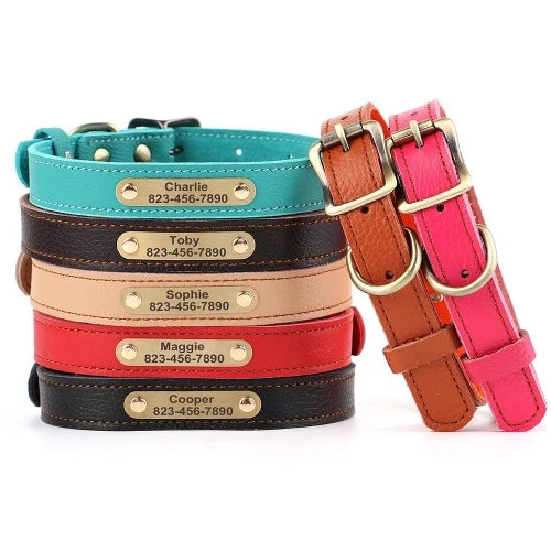 Coleira de couro personalizado, cachorro Bling, nome personalizado, gato, gatinho coleiras, acessórios para animais de estimação, gatos pequenos, chihuahua, Yorkie