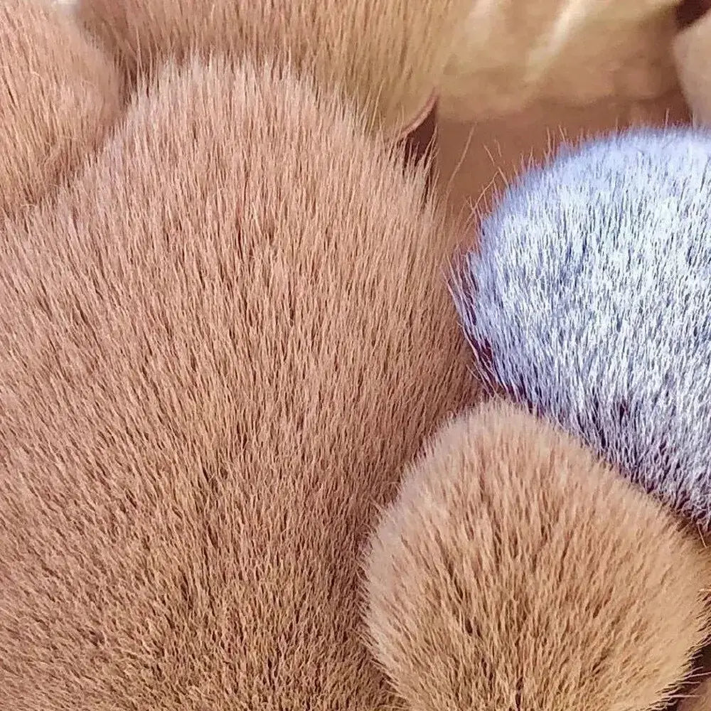 13 Peças de Pincéis de Maquiagem: Conjunto de Ferramentas de Beleza para Sombra, Base, Blush e Mais, com Bolsa Inclusa